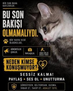 Bu sessizlik sizi boğar…